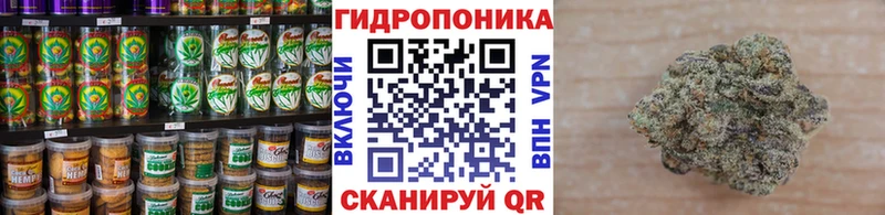 цена наркотик  hydra   Печенье с ТГК конопля  Сегежа 