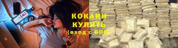 мяу мяу мука Рославль