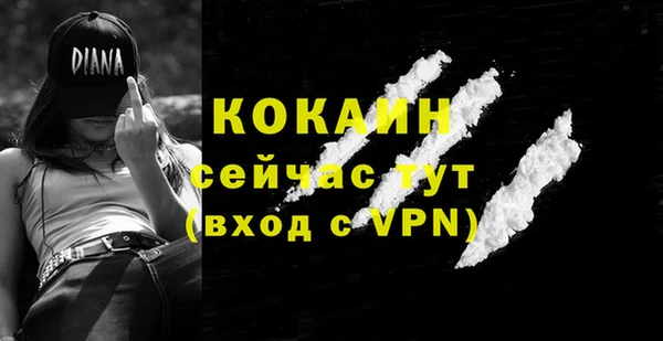 мяу мяу мука Рославль