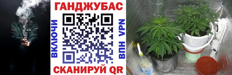mega вход Сегежа Бошки марихуана White Widow